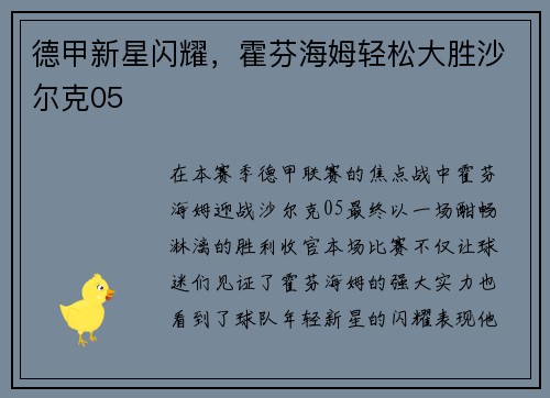 德甲新星闪耀，霍芬海姆轻松大胜沙尔克05
